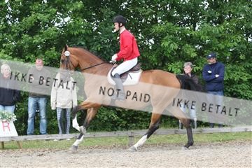 135518_ms_01_IMG_1533.JPG