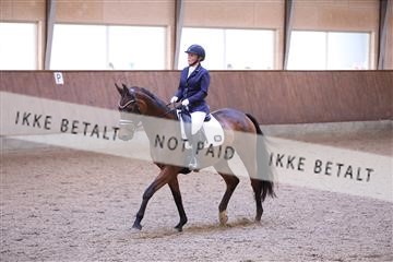 173821_mtp_01_3M5A9273.JPG