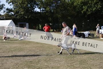 181848_kar_01__62_1622.JPG