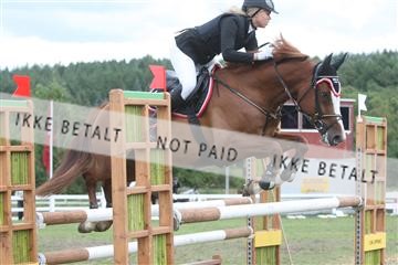 5925_ma_05_IMG_1312.JPG