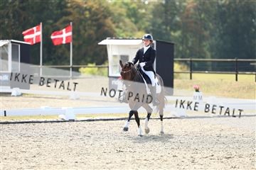 181894_mtp_02_R62_1719.JPG
