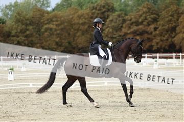 181923_mtp_03_R62_7468.JPG