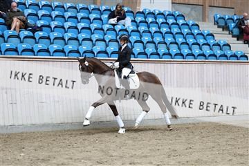 181887_mtp_04_R62_8888.JPG