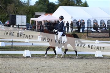 181894_mtp_05_R62_5261.JPG