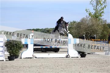 181436_avh_02_3856.JPG