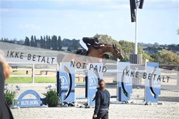 175171_akl_01_AKL_3124.JPG