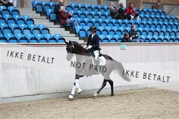181887_mtp_04_R62_9032.JPG