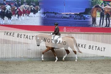 181887_mtp_01_R62_7052.JPG