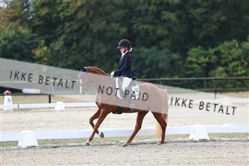 181894_mtp_01_R62_0359.JPG