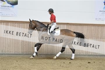 160111_nn_01__ESK1670.JPG