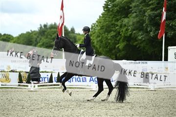 181449_kbb_03_Z090584.JPG