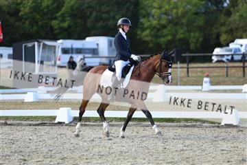 181894_mtp_05_R62_5254.JPG