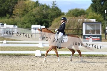 181894_mtp_05_R62_5026.JPG