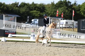 181894_mtp_05_R62_4787.JPG