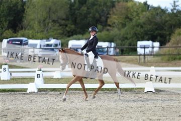 181894_mtp_05_R62_5062.JPG