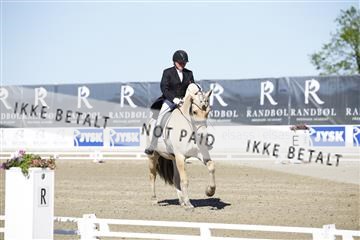 181449_kbb_01_6II9628.JPG