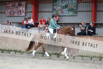 181867_mtp_01_R62_3841.JPG