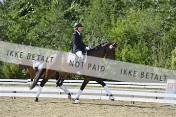 136195_abo_01__AB16069.JPG