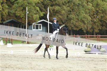 181923_mtp_04_R62_9193.JPG