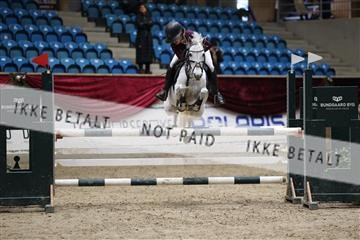 175934_avh_02_7644.JPG