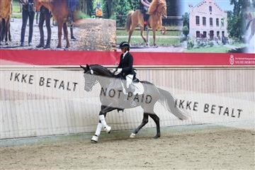 181887_mtp_04_R62_9020.JPG