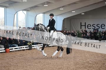 179022_kbb_01_R6II2508.JPG