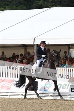 125527_BC_07_IMG_9352.JPG