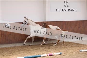 181755_bc_01R62_1096.JPG