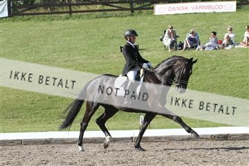135676_sg_03_IMG_0010.JPG