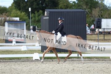 181894_mtp_05_R62_5058.JPG