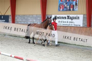 181868_mtp_03_R62_6241.JPG