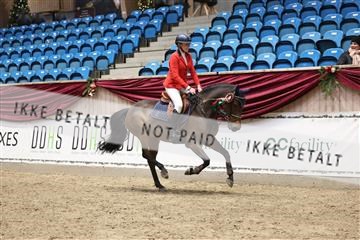 175934_avh_02_8241.JPG