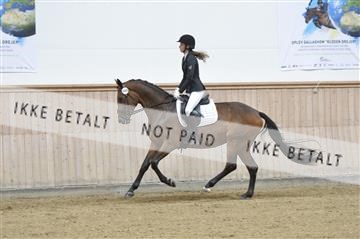 160111_nn_01__ESK1953.JPG