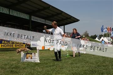125257_abo_14_IMG_2092.JPG