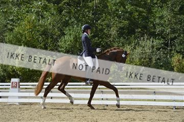136195_abo_01__AB16003.JPG