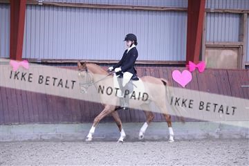 173883_mtp_01_3M5A0482.JPG
