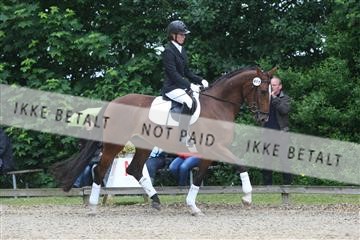 135518_ms_01_IMG_0873.JPG