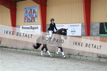 181867_mtp_02_R62_4608.JPG