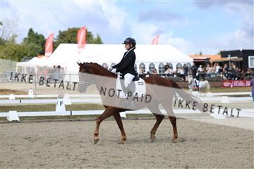 181894_mtp_05_R62_4673.JPG