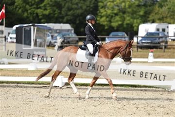 181894_mtp_05_R62_4447.JPG