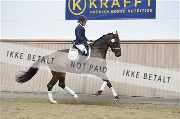 160111_nn_01__ESK2006.JPG