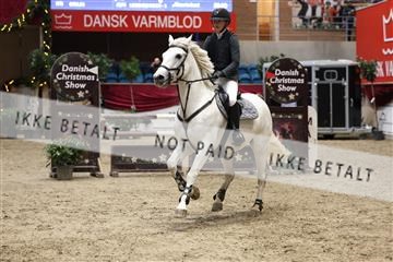 175934_avh_02_7337.JPG