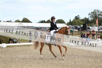 181894_mtp_03_R62_2386.JPG