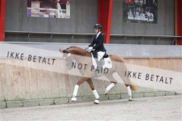 181867_mtp_02_R62_4340.JPG