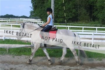 110-1042_IMG.JPG