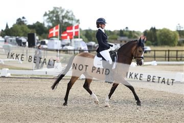 181894_mtp_02_R62_1548.JPG