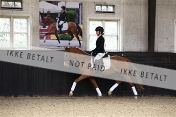 181243_avh_01_1951 (1).JPG