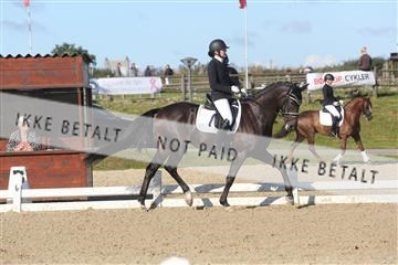 148862_sg_01_IMG_2800.JPG