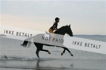 110-1041_IMG.JPG