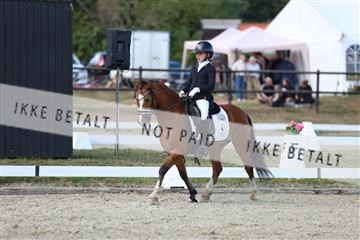 181894_mtp_05_R62_5311.JPG